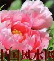 安庆预示你财运上升，姻缘可成的梦境，快来看看吧！